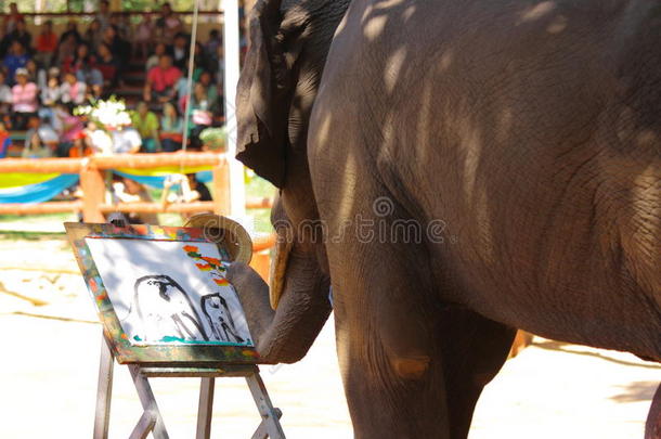 泰国大象在画画