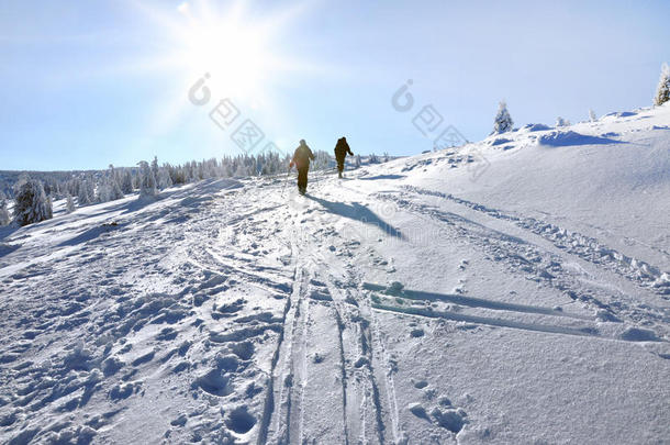 乡间滑雪者（滑雪<strong>巡回</strong>赛）