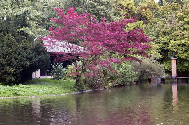 慕尼黑英国花园<strong>里</strong>的日本茶馆，德国慕尼黑英国花园<strong>里</strong>的日本茶馆，德国