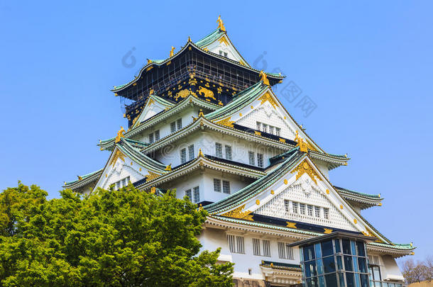 日本大阪的大阪城堡。