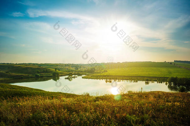 阳光明媚的夏日草地和池塘。阳光明媚的风景