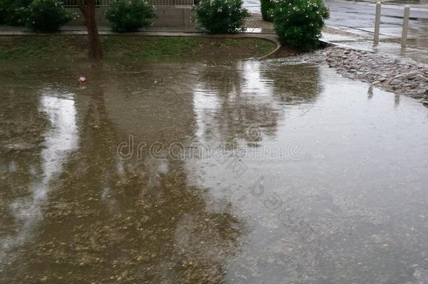 雨季的雨水淹没了亚利桑那州凤凰城的街道