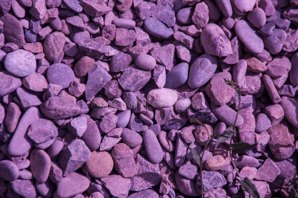 紫色<strong>岩石</strong>