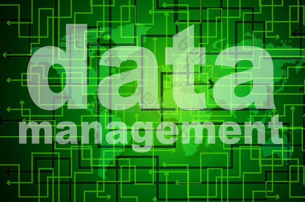 管理数据代表组织的权威和管理