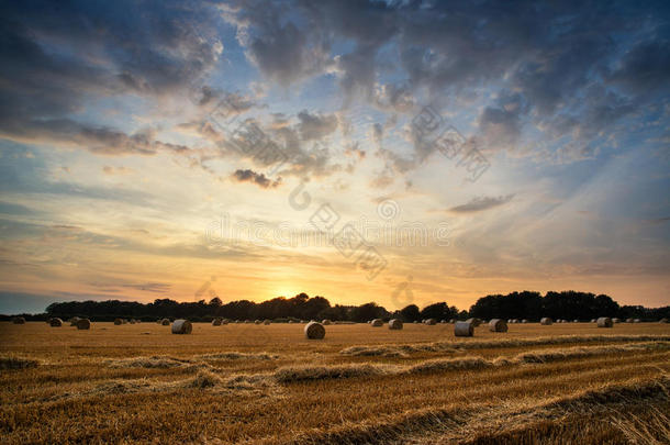 草地上夏日夕阳的乡村景观图像