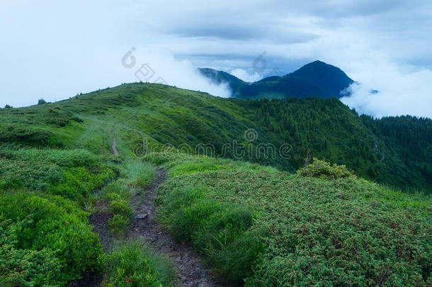 <strong>山间小路</strong>