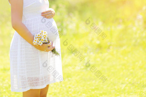 可爱的孕妇在夏日阳光明媚的日子里盛开鲜花