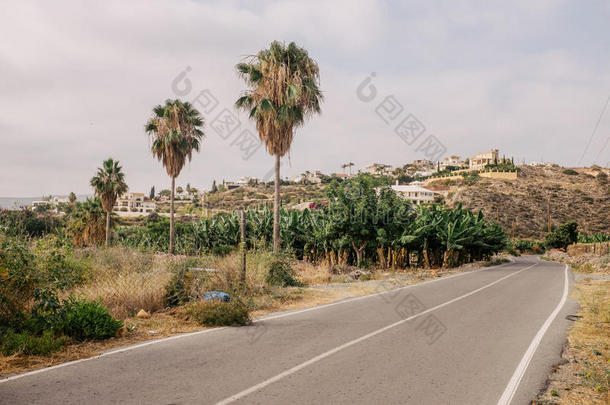 塞浦路斯公路