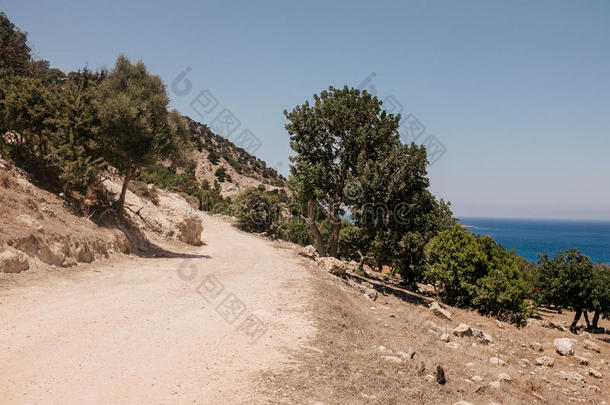 塞浦路斯海岸线和草地