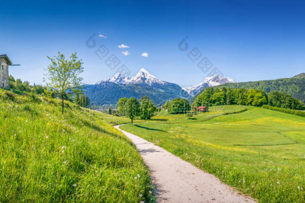 阿尔卑斯山田园诗般的<strong>夏日风景</strong>