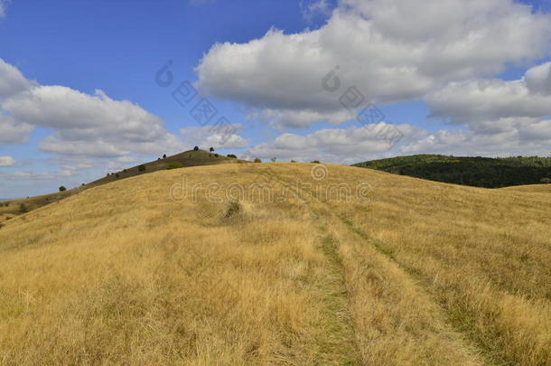 风景秀丽的初秋风景，有山间小路