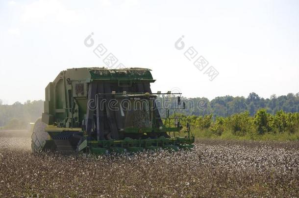 农用拖拉机收集棉花