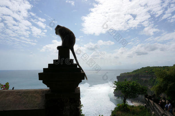 巴厘岛普拉卢赫乌鲁瓦图寺的猴子