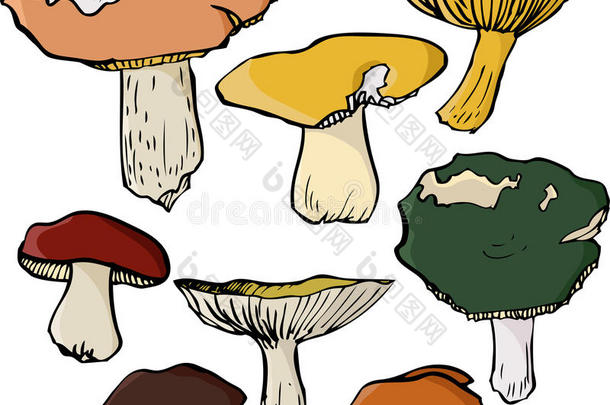 一套线描蘑菇
