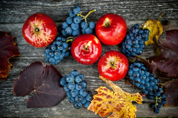 葡萄园和农场秋收，成熟的葡萄和红苹果，新鲜的有机水果