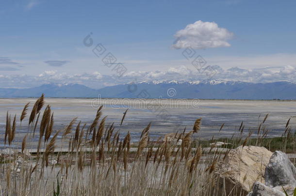 犹他州盐湖城，大盐湖城