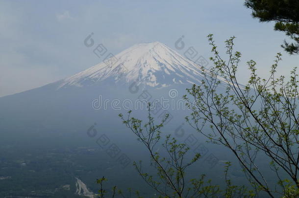 富士山从日本河根的天柱山出发