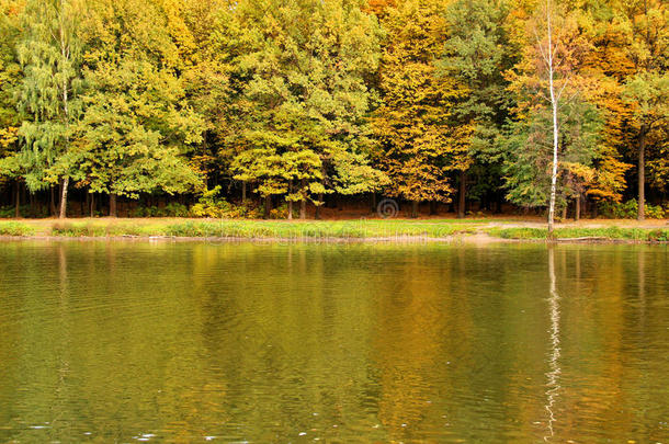 湖面秋色。秋天停车。金秋。