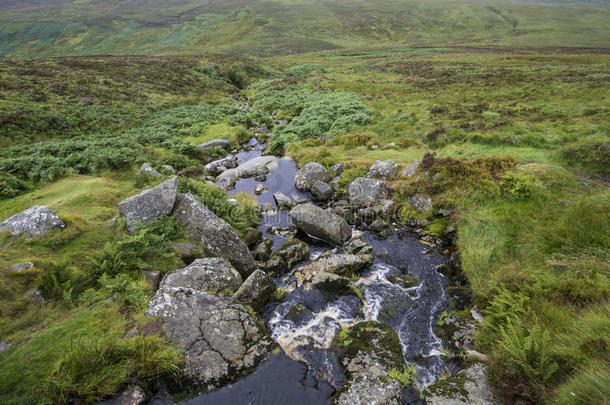 爱尔兰草地上的一条小山涧