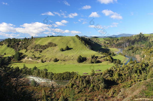 新西兰的一条有着<strong>绿山</strong>的野河