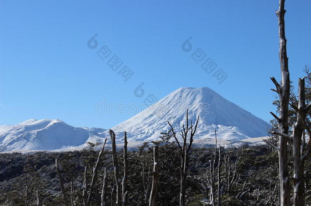 冬季鲁阿佩胡火山和汤加里罗火山令人叹为观止的火山锥