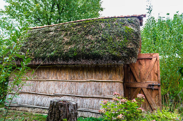 沼泽植物小屋