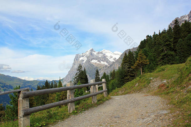 从kleine scheidegg到grindelwald村的徒步旅行路线