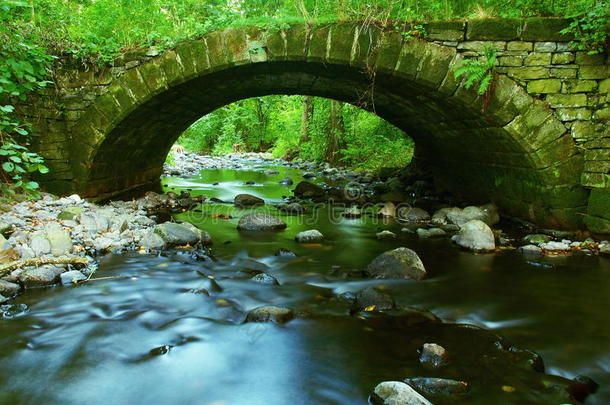 树叶林<strong>中山</strong>涧的古老石<strong>桥</strong>，冷清的河水在咆哮。