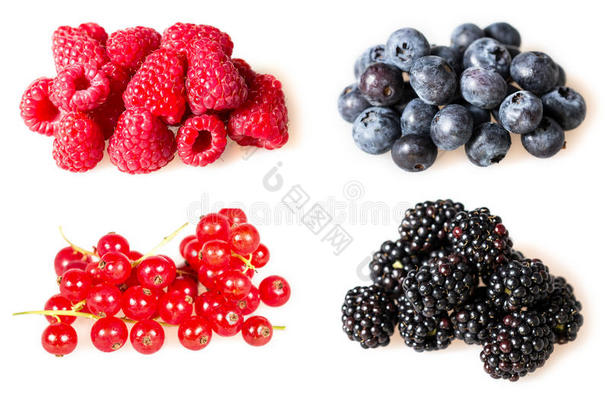 软水果，草莓，黑莓，蓝莓，<strong>红醋</strong>栗，覆盆子，黑加仑子