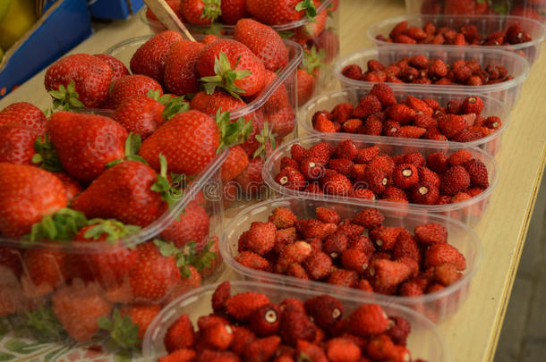 欧洲本地草莓