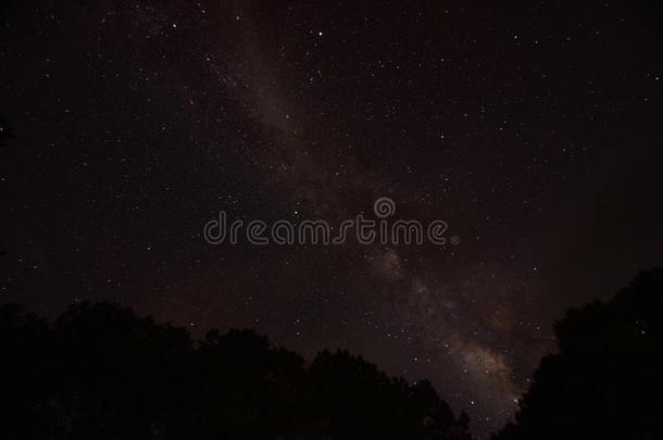 夜空，银河覆盖森林和树木