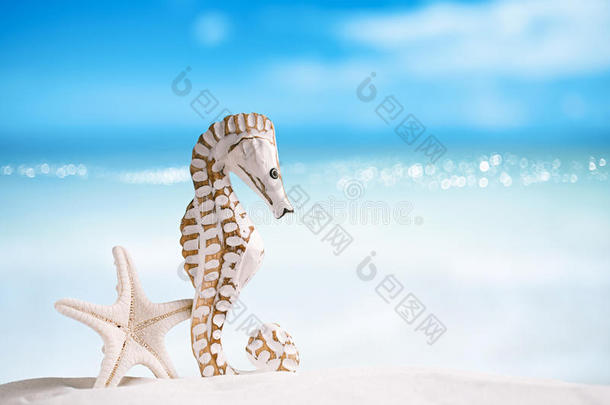 白色沙滩上的海马和白色海星，海洋，天空
