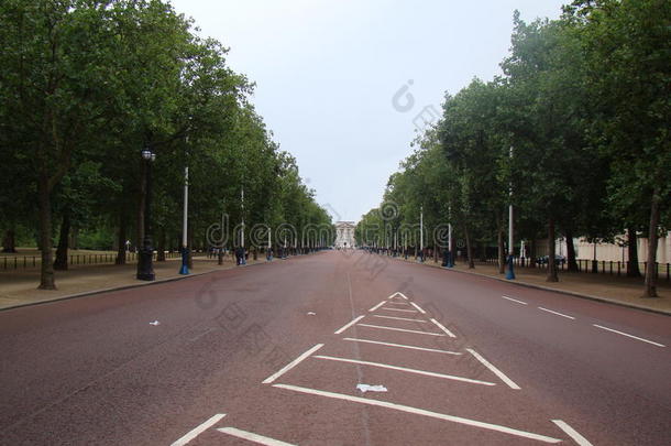 伦敦市公园里一条空荡荡的马路，两边都是树