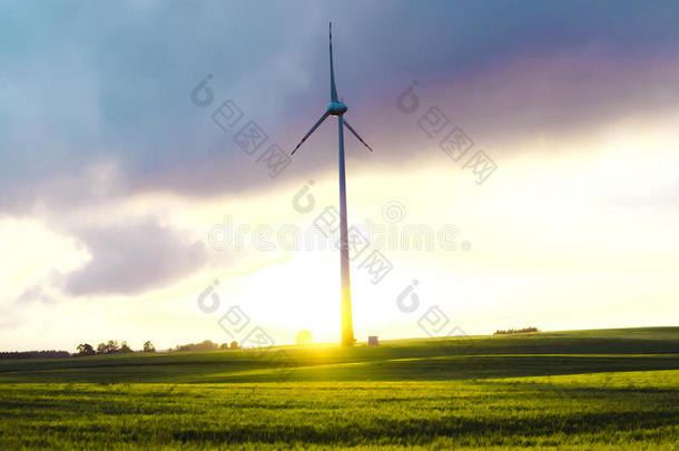 草地上的风车-马苏利亚风景