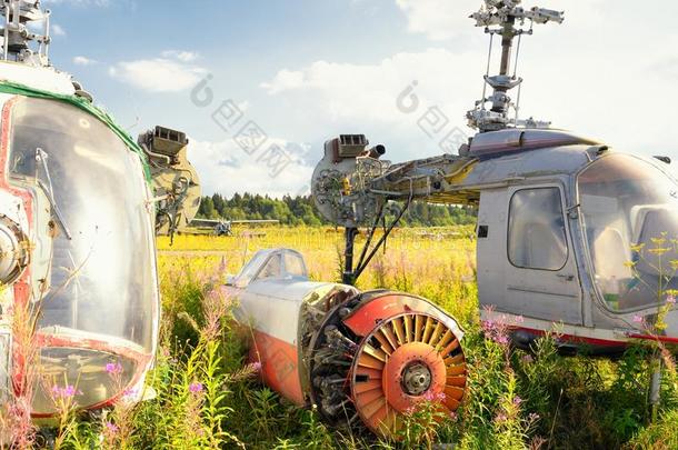 老旧的飞机机身和锈迹斑斑的直升机停在草地上