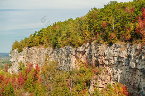 美丽绚丽的自然秋季背景尼亚加拉悬崖绿化带