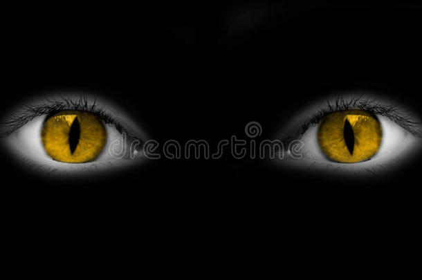 <strong>猫女</strong>的眼睛被隔离在黑色上