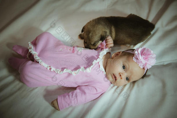 可爱的小女孩穿着粉色西装和小狗