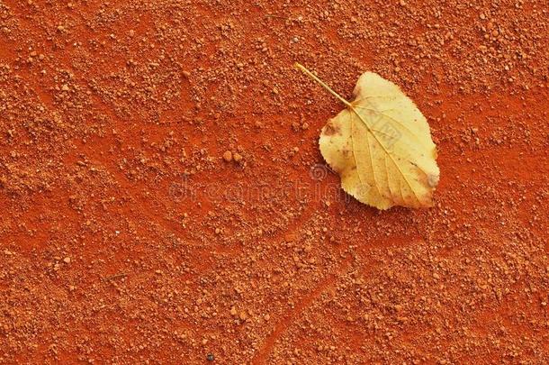 网球场上的落叶。室外网球场的干燥浅红色碎砖表面。赛季结束。