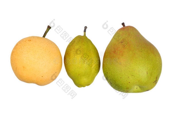 三种不同的成熟梨