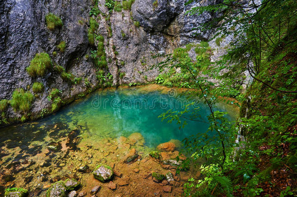 罗马尼亚岩溶泉