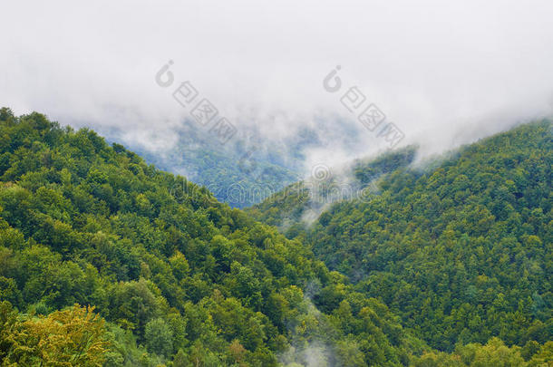 朦胧的风景