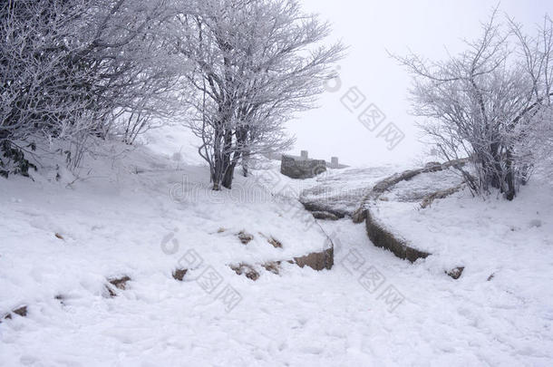 中国黄山下雪