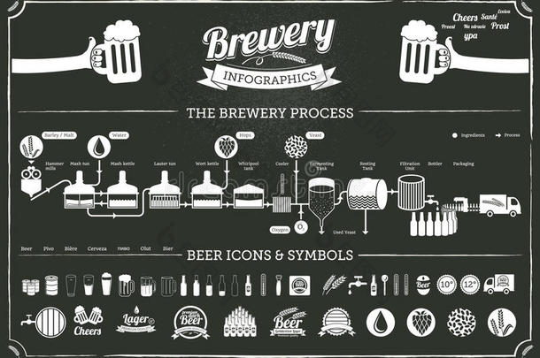 啤酒厂信息图-啤酒插图