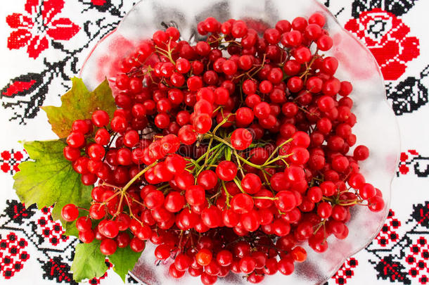 绣花<strong>十字绣图案</strong>上的viburnum。俯视图