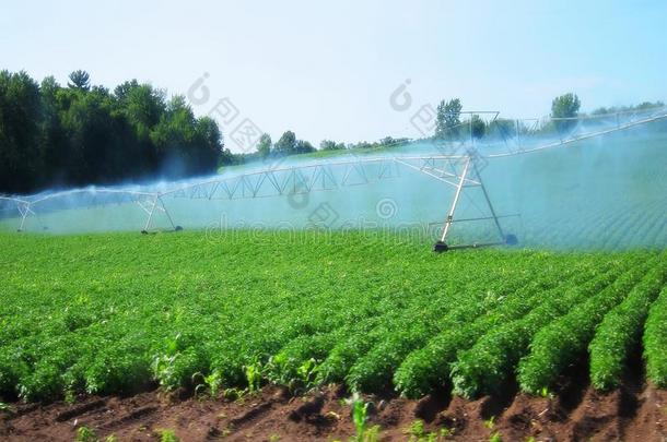 灌溉系统灌溉农作物农田农田工业