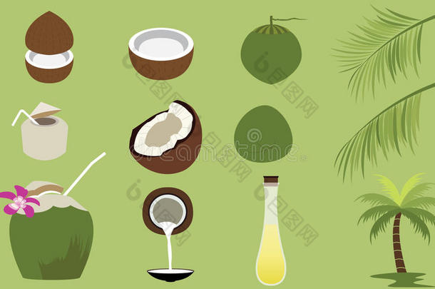 椰子热带水果系列产品