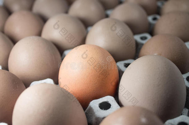 一打鸡蛋