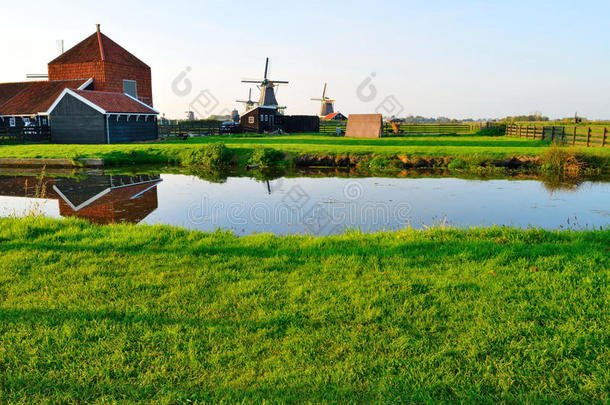 夏天的荷兰风车