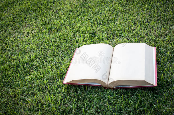 打卡在草地上打开一本空白的书